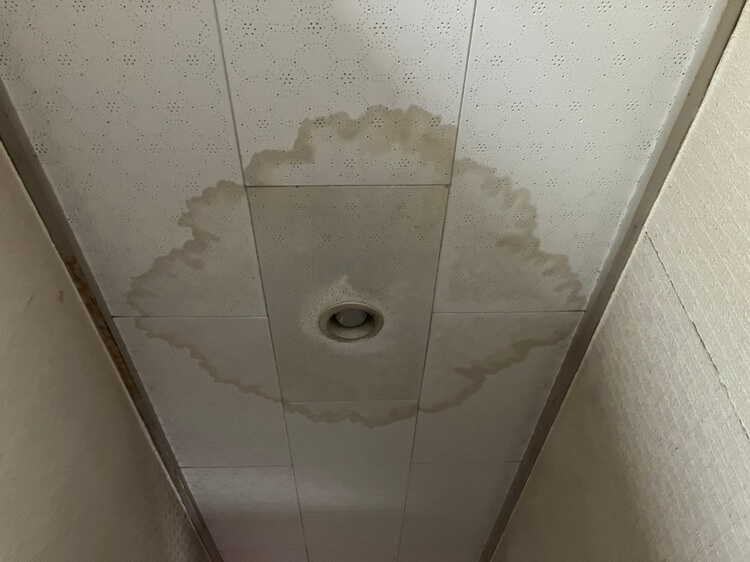 天井からの漏水状況１