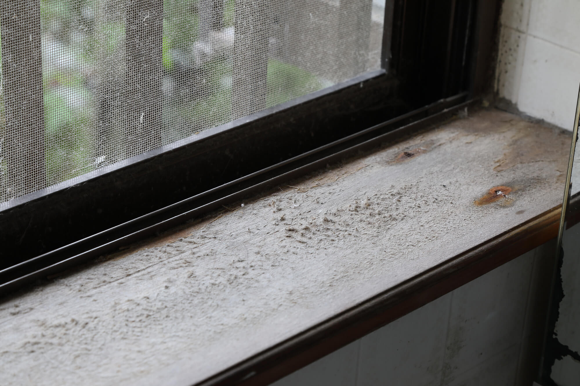 窓枠からの雨漏りを放置するデメリット